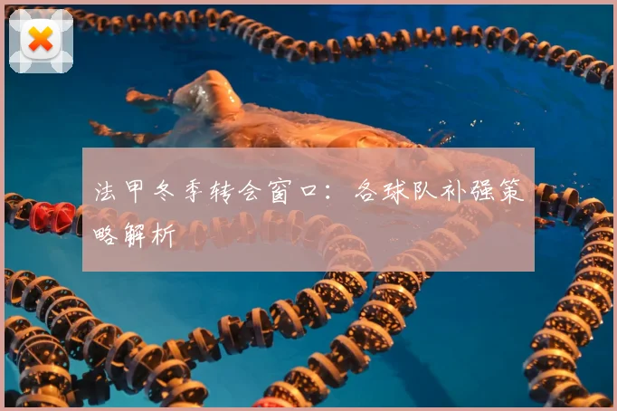法甲冬季转会窗口:各球队补强策略解析