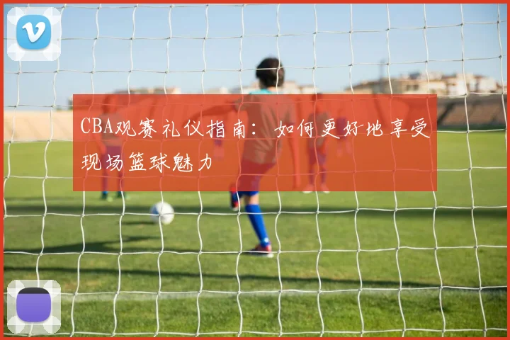 CBA观赛礼仪指南：如何更好地享受现场篮球魅力