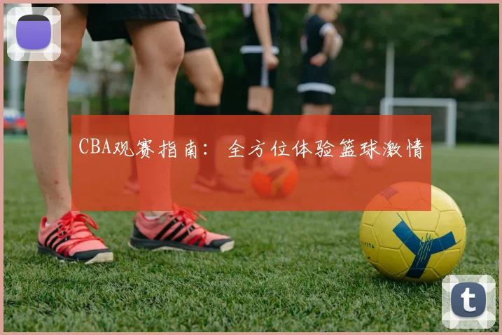 CBA观赛指南:全方位体验篮球激情